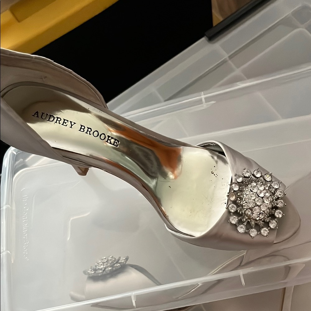 Audrey Brooke Silver Embellished Women's Shoes